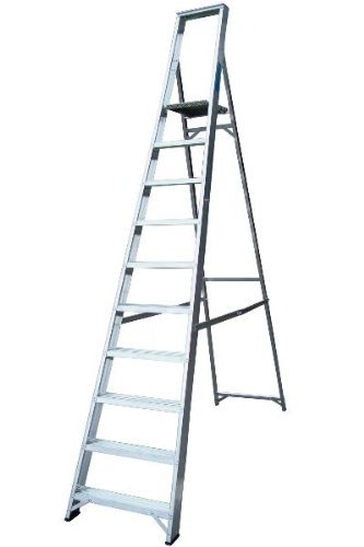Lyte Class One - 12 Step Platform Ladder