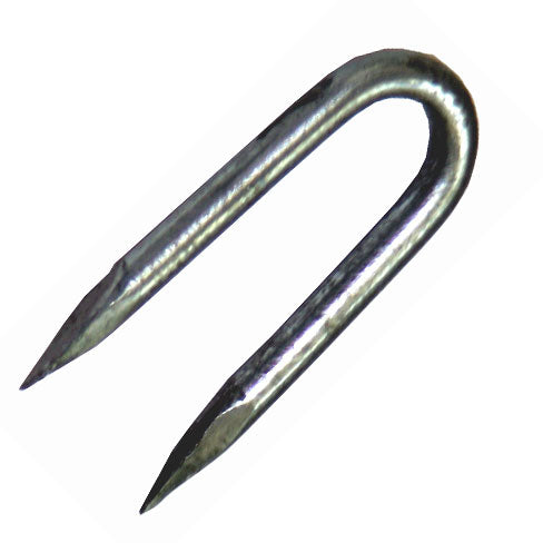 30mm Fencing Staples Galv 1kg